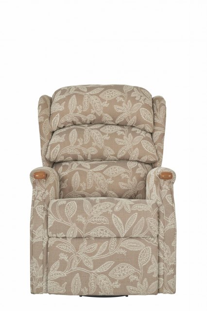 Celebrity Furniture  Celebrity Westbury Leather Standard Chair